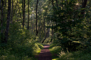 Similar image 21224802