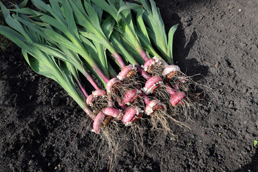 Similar image 21223243