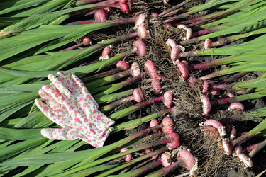 Similar image 21223244