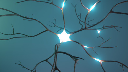 Similar image 21218525