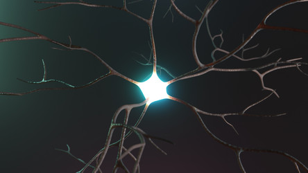 Similar image 21218529