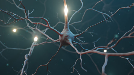 Similar image 21218530