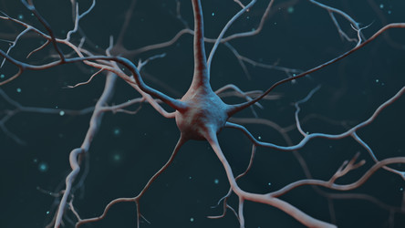 Similar image 21218532