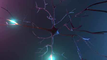 Similar image 21233847