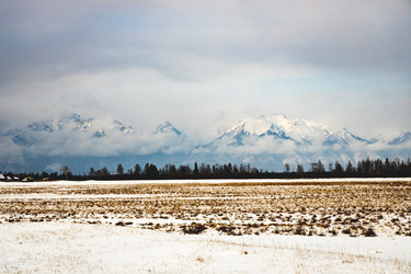 Similar image 21224228