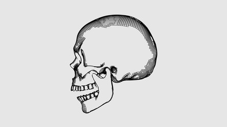 Similar image 21248236