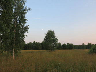 Similar image 21223584