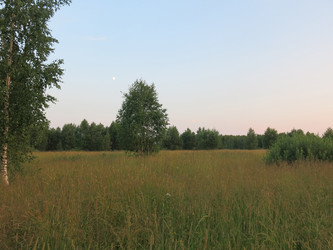 Similar image 21223585