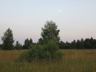 Similar image 21223586