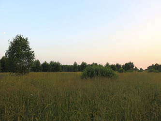 Similar image 21223587