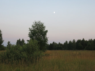 Similar image 21223588