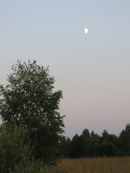 Similar image 21223590