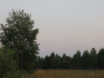 Similar image 21223591