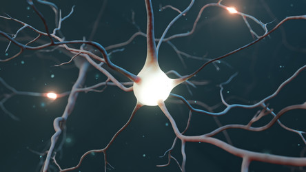 Similar image 21248283