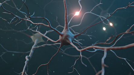 Similar image 21248077