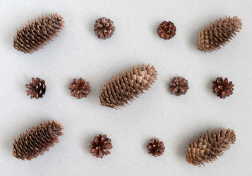 Similar image 21224579