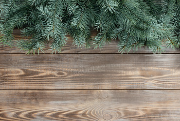 Similar image 21224588