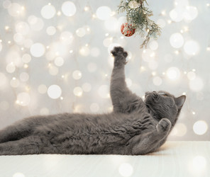 Similar image 21224609