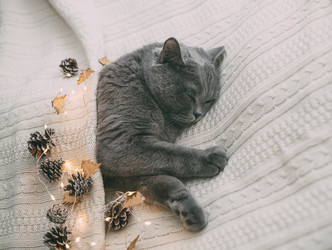 Similar image 21224612