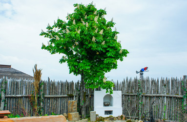 Similar image 21220794