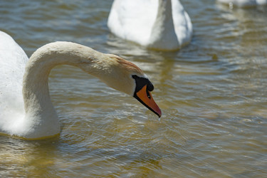 Similar image 21220804