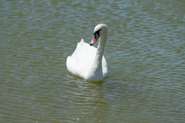 Similar image 21220807