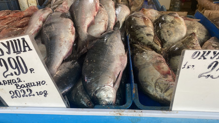 Similar image 21220825