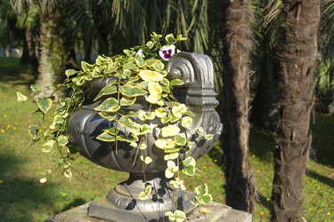 Similar image 21221128