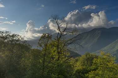 Similar image 21223722