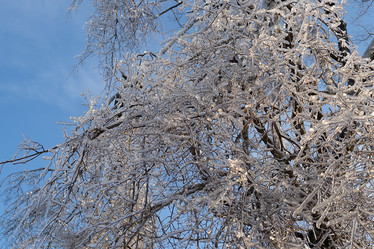 Similar image 21221096