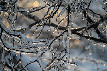 Similar image 21221103