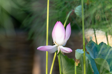 Similar image 21221104