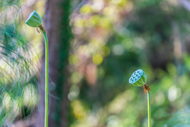 Similar image 21221105