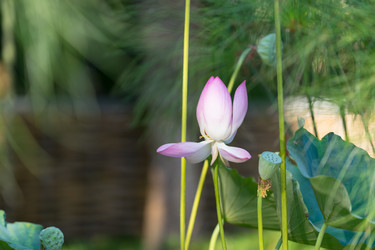 Similar image 21221106