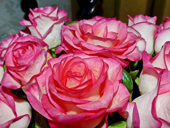 Similar image 21244439