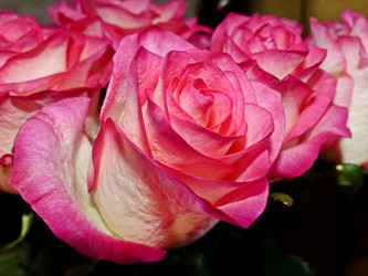 Similar image 21243491