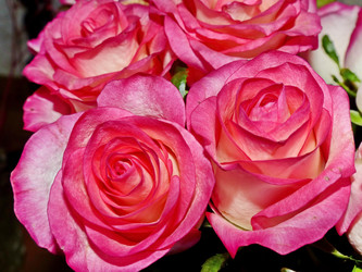 Similar image 21240670