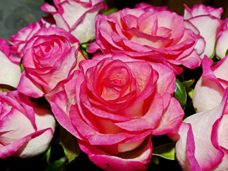 Similar image 21243492