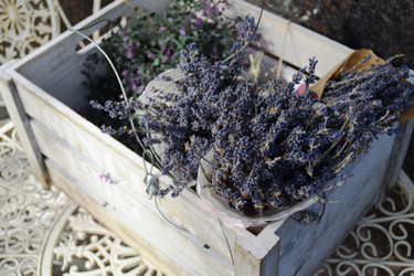 Similar image 21224303