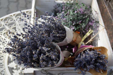 Similar image 21224304