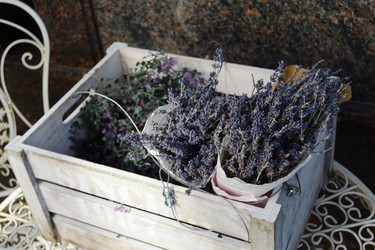 Similar image 21224305