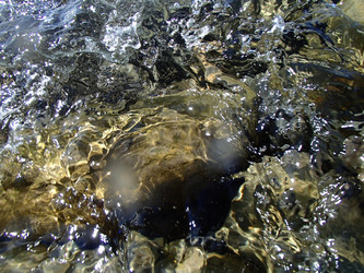 Similar image 21239769