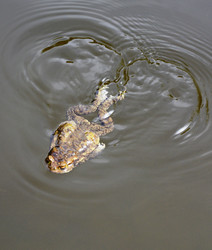 Similar image 21224309