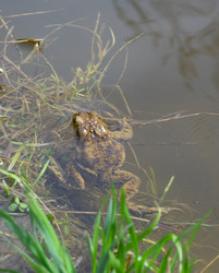 Similar image 21224310