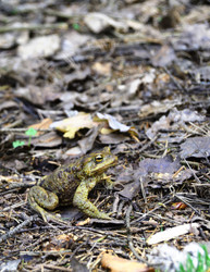 Similar image 21224312