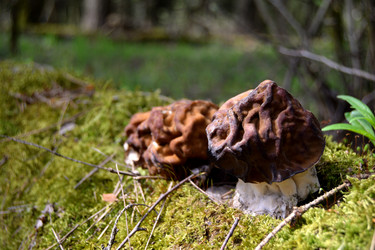 Similar image 21224313