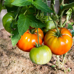 Similar image 21222668