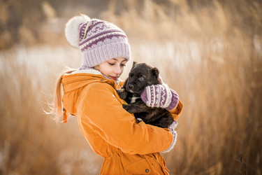 Similar image 21222334