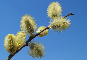 Similar image 21252050