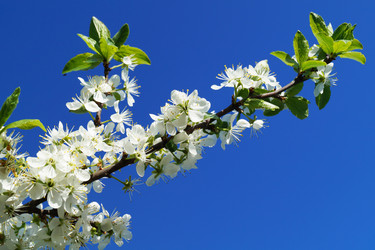 Similar image 21252057